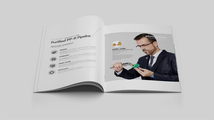 工作、品牌策划与企业形象策划 从执行到战略的完整指南